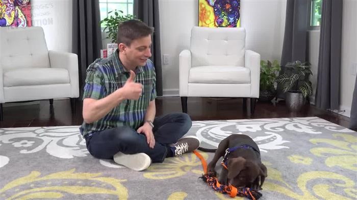 Training Dog Leave It 
      Command