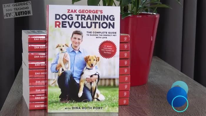 Dog Training 
      Digging