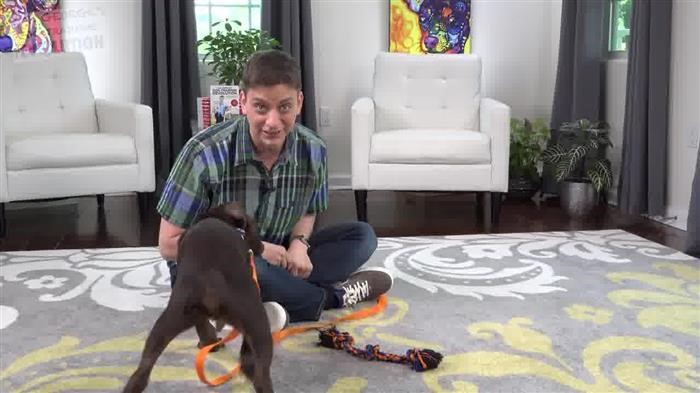 Training Dog Previosly Attacked