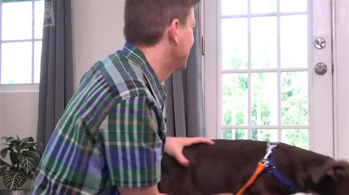 Dog Training 
      Digging