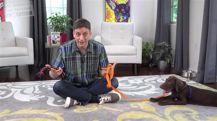 Dog Training Noise Maker