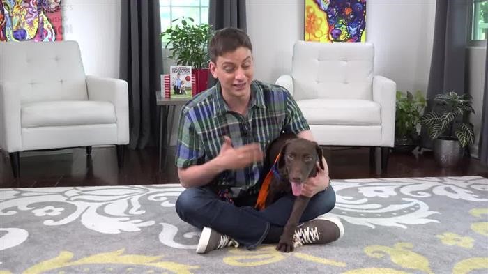 Training 
      Dog Not To Chew