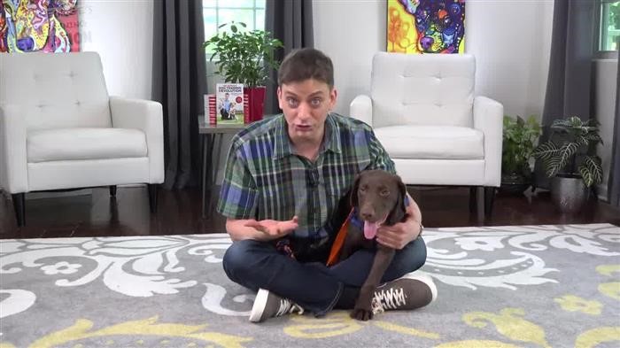 Dog Training Facility