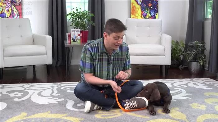 Dog Training 
      Center