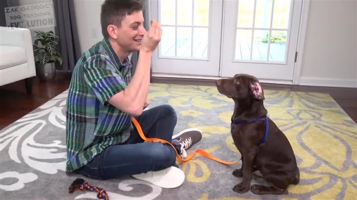 Dog Training Answers