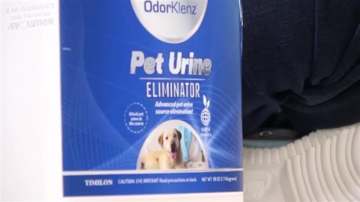 Dog Training 
      Detroit