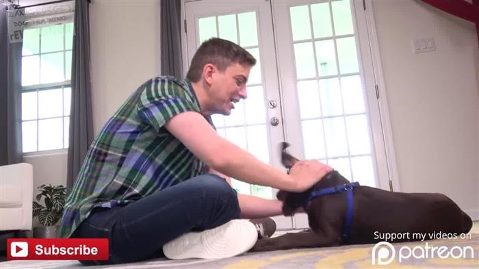 Dog 
      Training Near Me