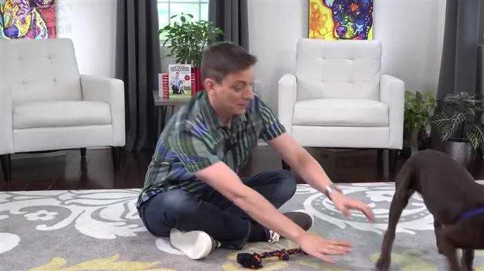 Training Dog 
      Chickens