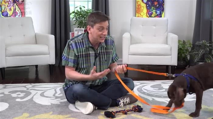 Dog Training Quad Cities