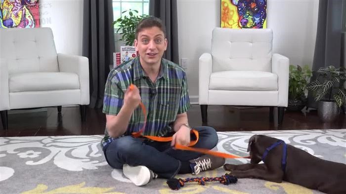 Dog Training Lesson Plans