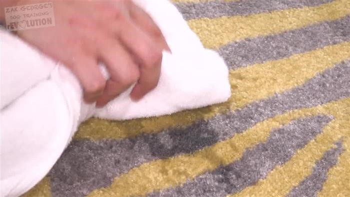 Dog Training Place Board